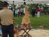 Wood Carving