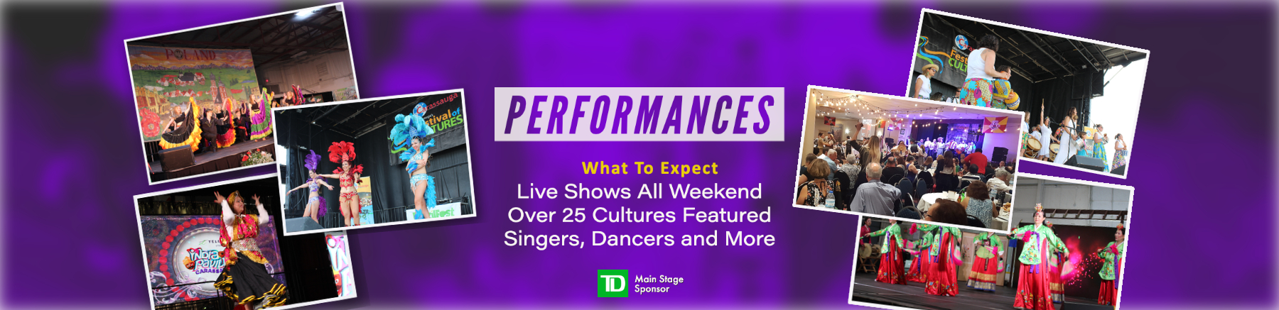 performance web 1800 437