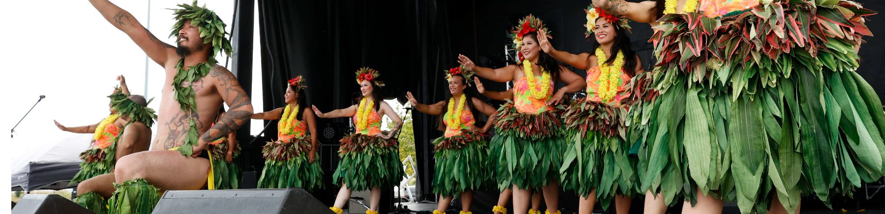 Group of dancers in Hawaiian costume on a stage performing